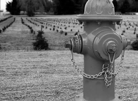 无限拨打电话软件